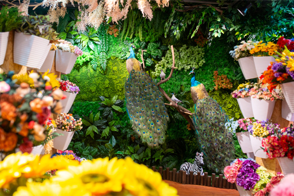 流星花园花店加盟前景广阔 顾客满意就是我们的追求